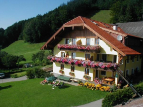 Гостиница Gesundheitshof Lohninger  Мондзее